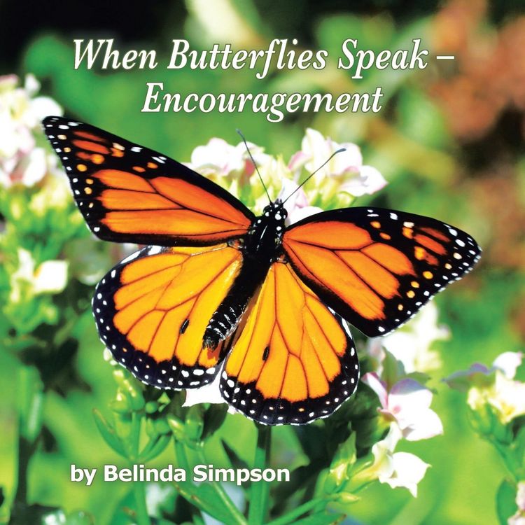Produktbild: When Butterflies Speak - Encouragement