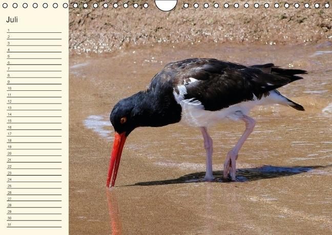 Produktbild: Gal&aacute;pagos Geburtstagskalender (Wandkalender immerw&auml;hrend DIN A4 quer)