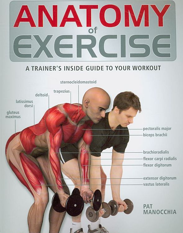 Produktbild: Anatomy of Exercise