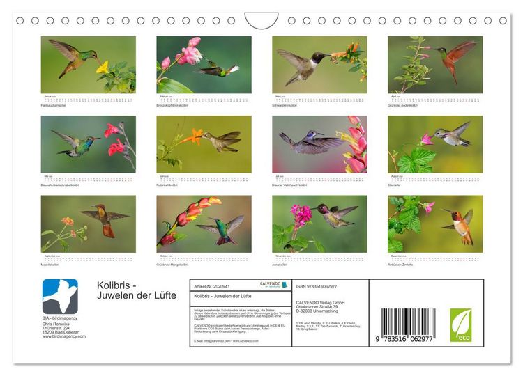 Produktbild: Kolibris - Juwelen der L&uuml;fte (Wandkalender 2026 DIN A4 quer), CALVENDO Monatskalender