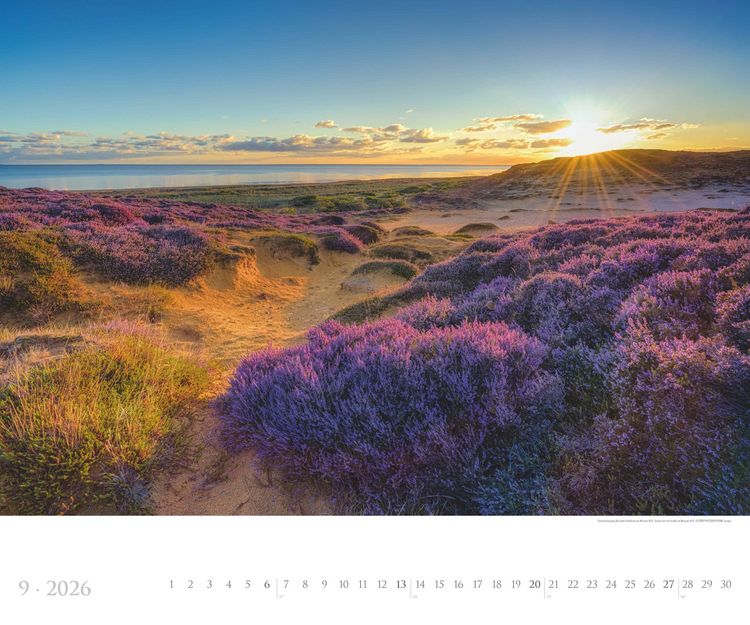 Produktbild: Sylt 2026 - Bildkalender XXL 60x50 cm - hochwertiger Wandkalender im Querformat - Landschaftskalender - Wandplaner - Deutsche Küsten