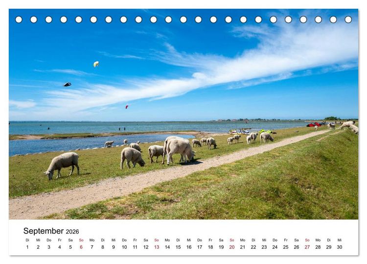 Produktbild: Fehmarn - "fe mer" nat&uuml;rlich "am Meer gelegen" (Tischkalender 2026 DIN A5 quer), CALVENDO Monatskalender