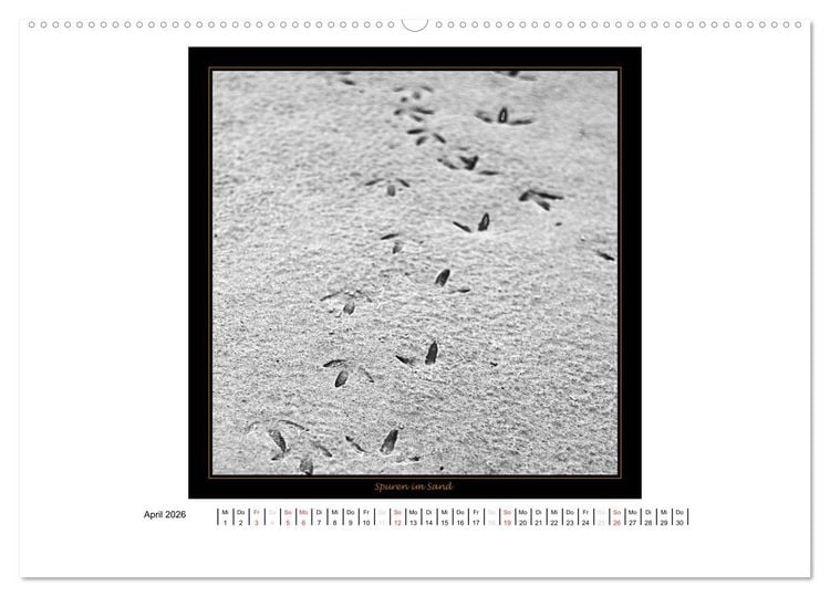 Produktbild: Wangerooge in Fine Art (Wandkalender 2026 DIN A2 quer), CALVENDO Monatskalender