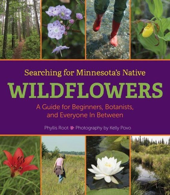 Produktbild: Searching for Minnesota's Native Wildflowers