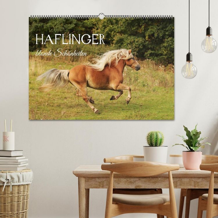 Produktbild: Haflinger - blonde Sch&ouml;nheiten (Wandkalender 2027 DIN A2 quer), CALVENDO Monatskalender