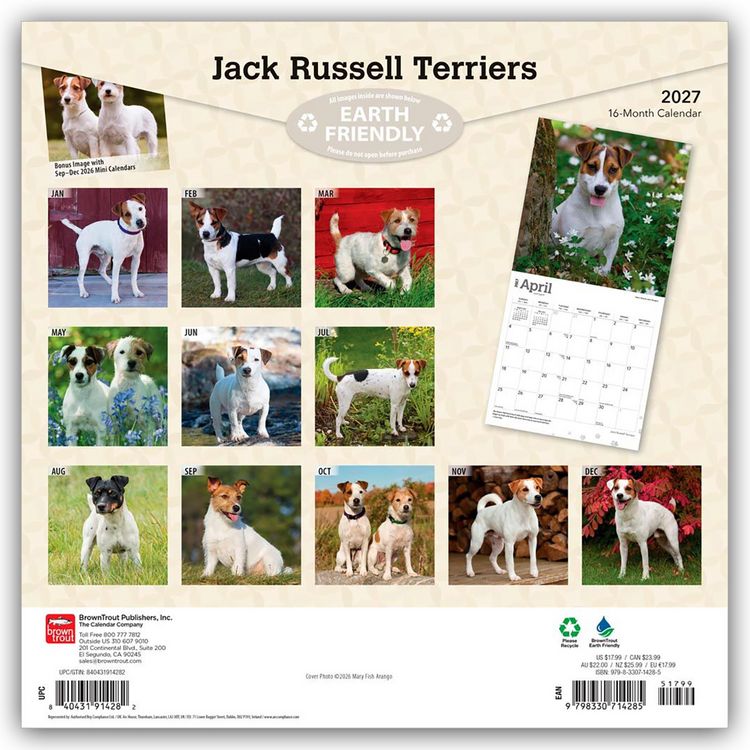 Produktbild: Jack Russel Terriers &ndash; Jack Russel Terrier 2027 &ndash; 16-Monatskalender