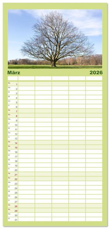 Produktbild: Familienplaner 2026 - Die Buche: 12 Baumportr&auml;ts mit 5 Spalten (Wandkalender, 21 x 45 cm) CALVENDO