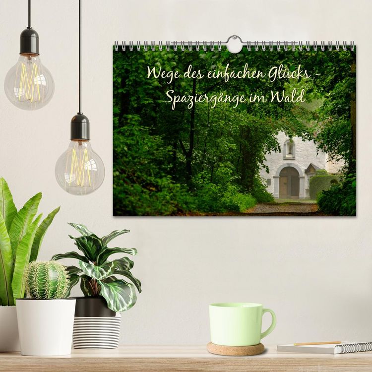 Produktbild: Wege des einfachen Gl&uuml;cks - Spazierg&auml;nge im Wald (Wandkalender 2026 DIN A4 quer), CALVENDO Monatskalender