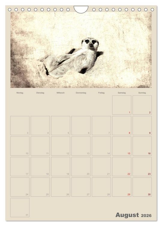 Produktbild: Lustige Erdm&auml;nnchen (Wandkalender 2026 DIN A4 hoch), CALVENDO Monatskalender