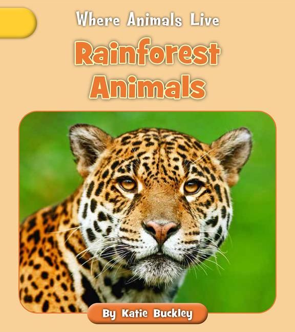 Produktbild: Rainforest Animals