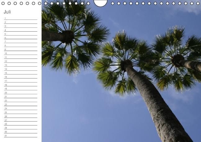 Produktbild: Impressionen des S&uuml;dens (Wandkalender immerw&auml;hrend DIN A4 quer)