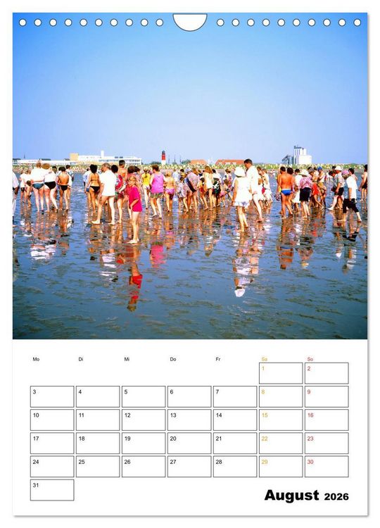 Produktbild: Vielseitiges B&uuml;sum (Wandkalender 2026 DIN A4 hoch), CALVENDO Monatskalender