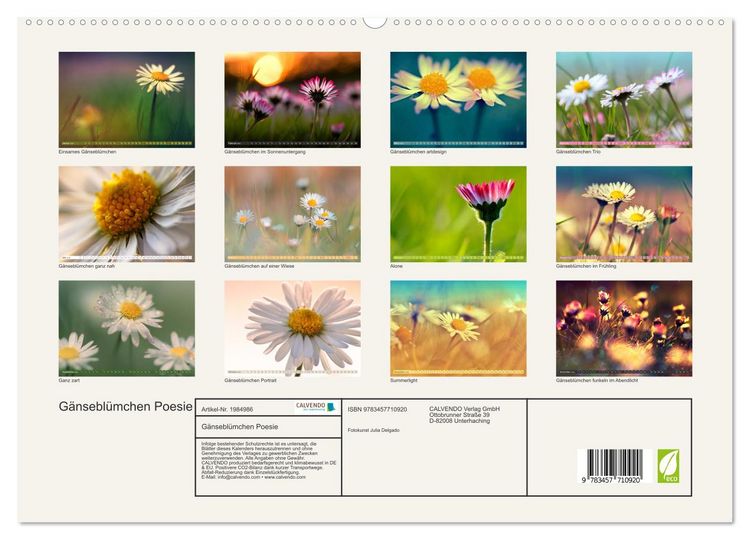 Produktbild: G&auml;nsebl&uuml;mchen Poesie (hochwertiger Premium Wandkalender 2026 DIN A2 quer), Kunstdruck in Hochglanz