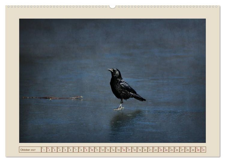 Produktbild: V&ouml;gel am Chemnitzer Schlossteich (hochwertiger Premium Wandkalender 2027 DIN A2 quer), Kunstdruck in Hochglanz