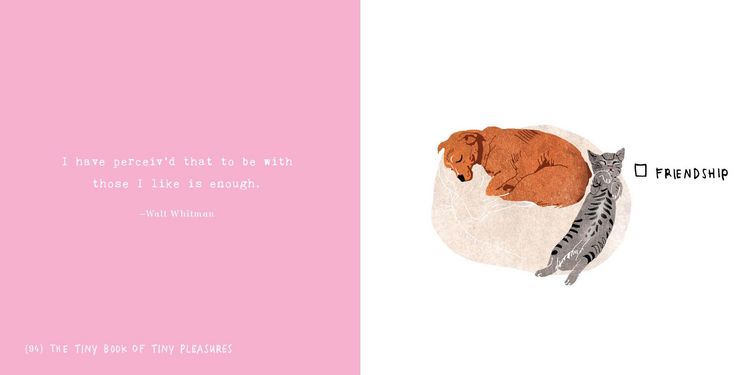 Produktbild: The Tiny Book of Tiny Pleasures