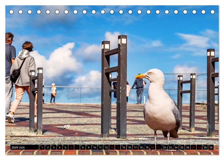 Produktbild: Sylt - Das nordfriesische Ereignis (Tischkalender 2026 DIN A5 quer), CALVENDO Monatskalender