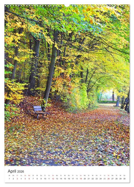 Produktbild: Faszination der Farben im Naturpark Lappwald (Wandkalender 2026 DIN A2 hoch), CALVENDO Monatskalender