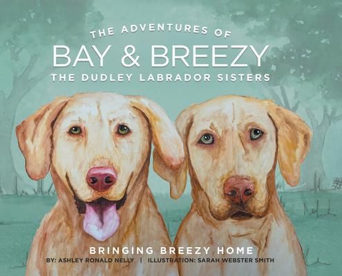 Produktbild: The Adventures of Bay & Breezy