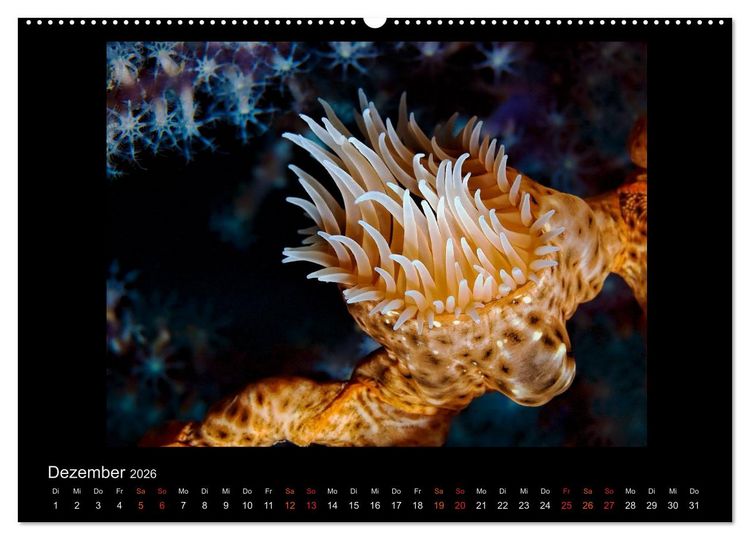 Produktbild: Ocean-Art / CH-Version (hochwertiger Premium Wandkalender 2026 DIN A2 quer), Kunstdruck in Hochglanz