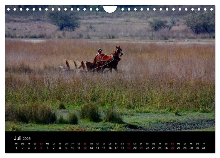 Produktbild: Donaudelta (Wandkalender 2026 DIN A4 quer), CALVENDO Monatskalender