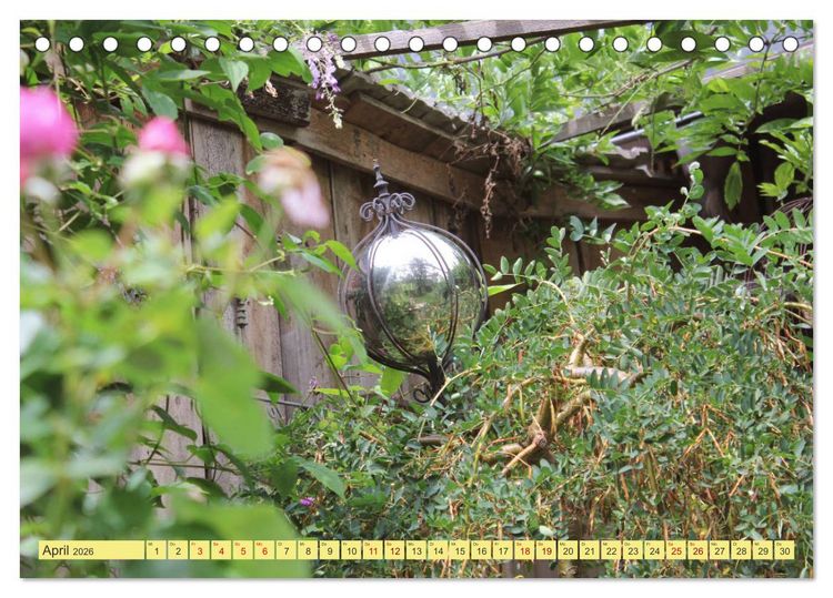 Produktbild: Gartentr&auml;umerei (Tischkalender 2026 DIN A5 quer), CALVENDO Monatskalender