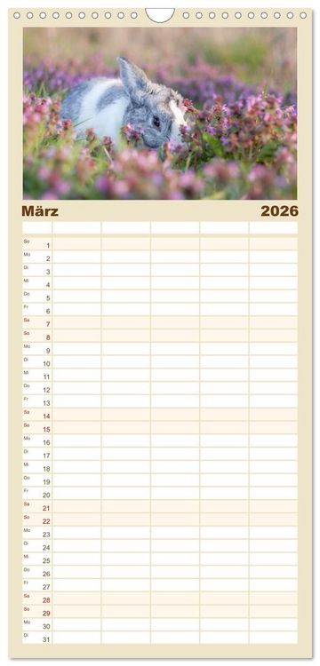 Produktbild: Familienplaner 2026 - Hasen - Die niedlichen Hoppeltiere. mit 5 Spalten (Wandkalender, 21 x 45 cm) CALVENDO