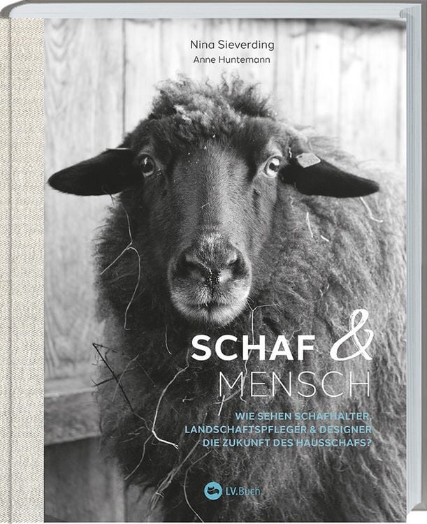Produktbild: Schaf und Mensch