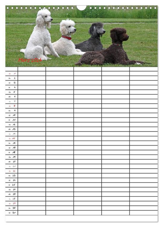 Produktbild: Der Pudel-Familienplaner (Wandkalender 2026 DIN A3 hoch), CALVENDO Monatskalender
