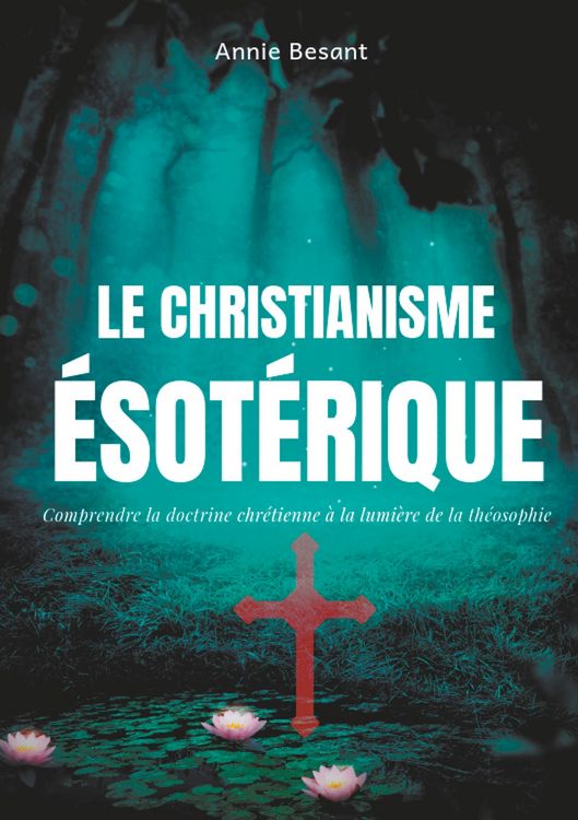 Produktbild: Le christianisme &eacute;sot&eacute;rique