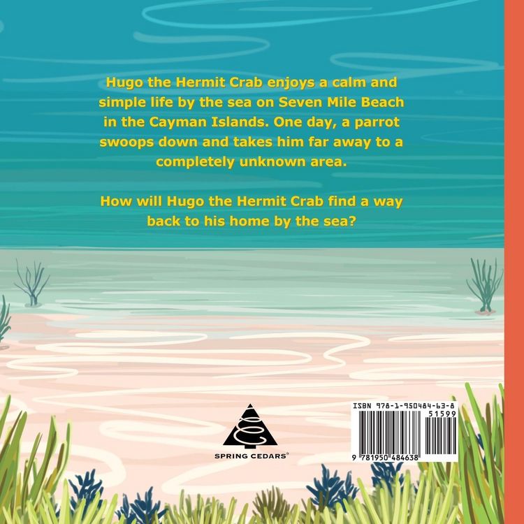 Produktbild: Hugo the Hermit Crab's Journey Back to Sea