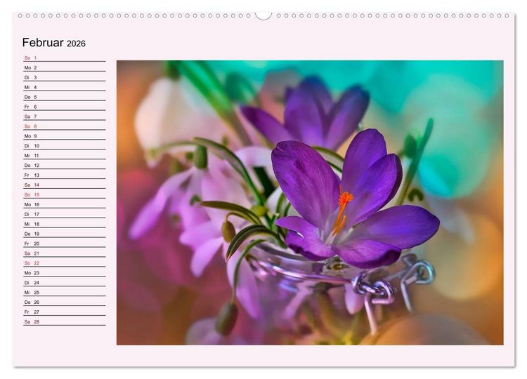Produktbild: Lila - die mystische Farbe (hochwertiger Premium Wandkalender 2026 DIN A2 quer), Kunstdruck in Hochglanz