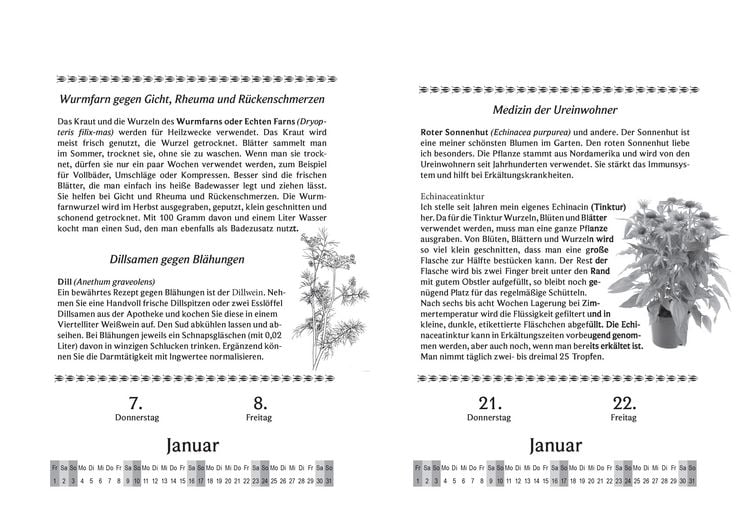 Produktbild: Liesel Malms Kr&auml;uterkalender 2027. Mit der Heilkraft der Natur durchs Jahr