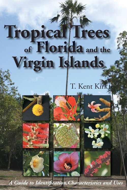 Produktbild: Tropical Trees of Florida and the Virgin Islands