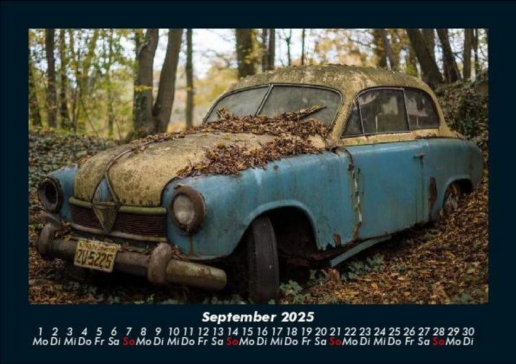 Produktbild: Waldzauber 2025 Fotokalender DIN A5