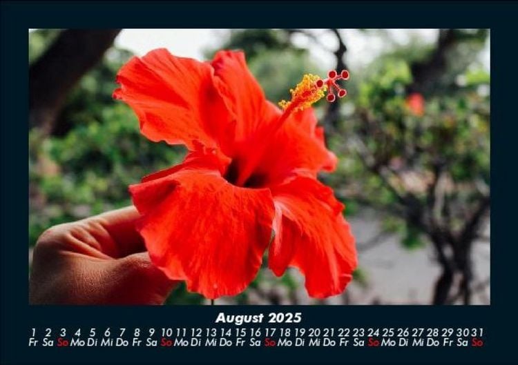 Produktbild: Blumenzauber 2025 Fotokalender DIN A5