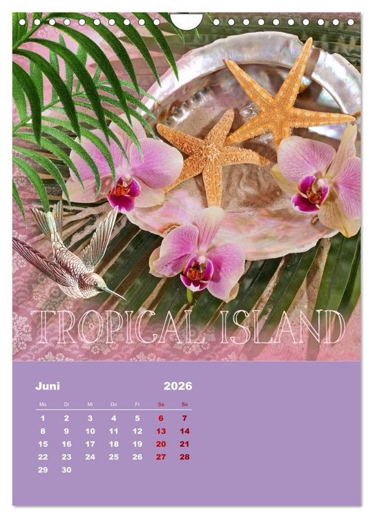 Produktbild: Geschenke vom Meer (Wandkalender 2026 DIN A4 hoch), CALVENDO Monatskalender