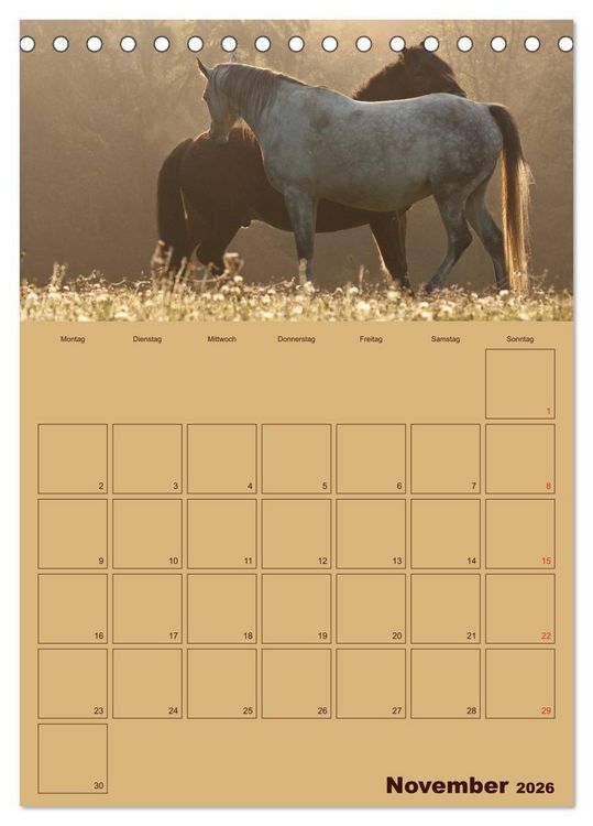 Produktbild: Pferde Gute Freunde (Tischkalender 2026 DIN A5 hoch), CALVENDO Monatskalender