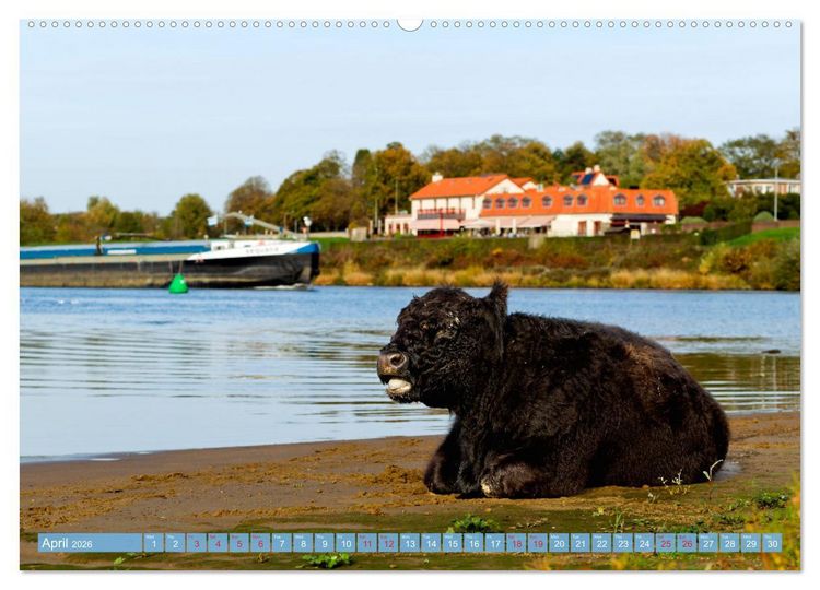 Produktbild: LOVELY VENLO (High Quality Premium Wall Calendar 2026 DIN A2 landscape),CALVENDO 12 Month Wall Calendar