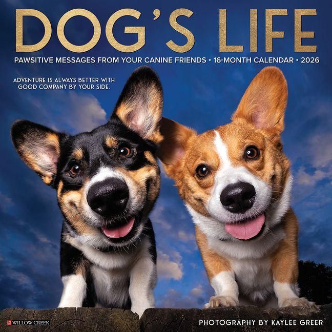 Produktbild: Dog's Life 2026 Wall Calendar