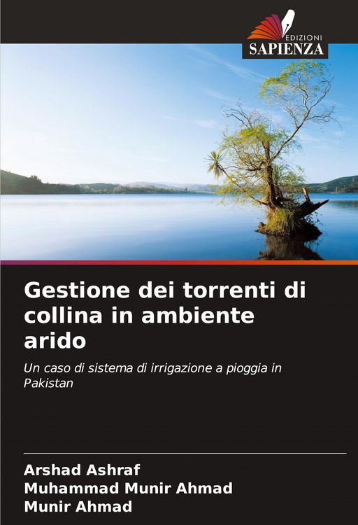 Produktbild: Gestione dei torrenti di collina in ambiente arido