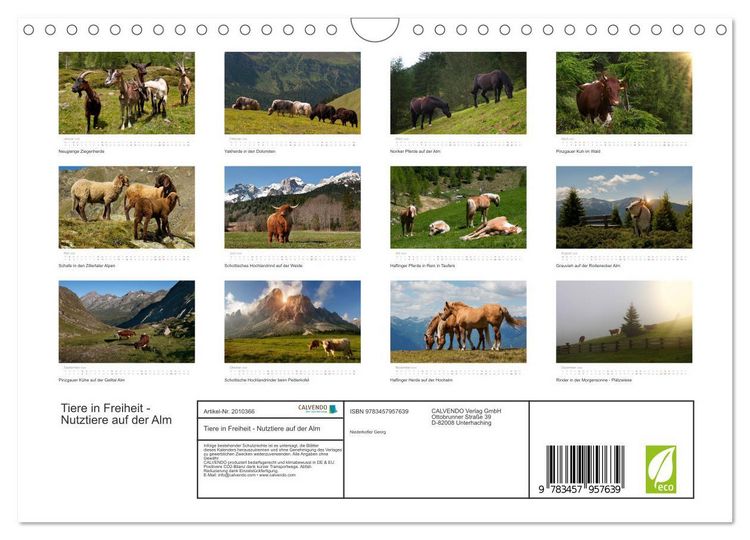 Produktbild: Tiere in Freiheit - Nutztiere auf der Alm (Wandkalender 2026 DIN A4 quer), CALVENDO Monatskalender