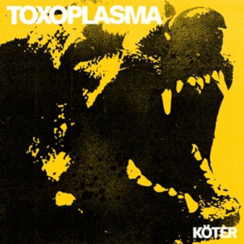 Produktbild: Toxoplasma: K&ouml;ter