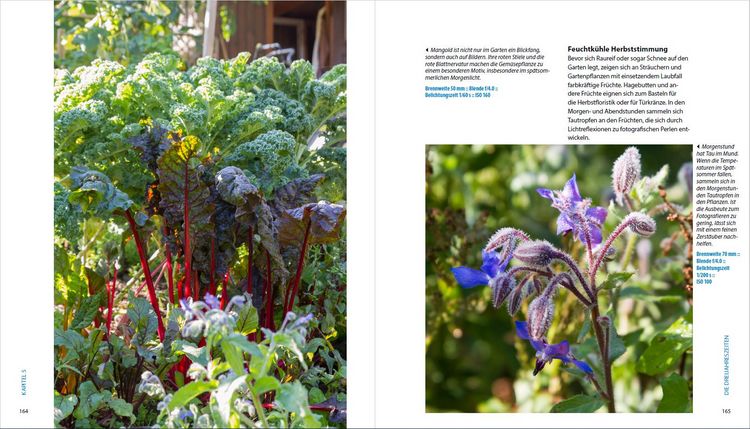 Produktbild: Garten-Shooting