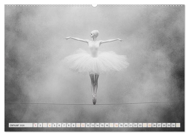 Produktbild: Im Pas de Deux mit der Stille (hochwertiger Premium Wandkalender 2026 DIN A2 quer), Kunstdruck in Hochglanz