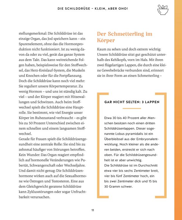 Produktbild: Meine Gesundheitsretter aus der Natur f&uuml;r eine starke Schilddr&uuml;se
