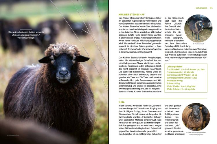 Produktbild: Alles vom Schaf!