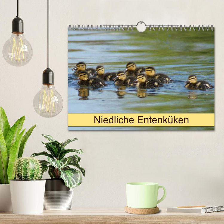 Produktbild: Niedliche Entenk&uuml;ken (Wandkalender 2026 DIN A4 quer), CALVENDO Monatskalender
