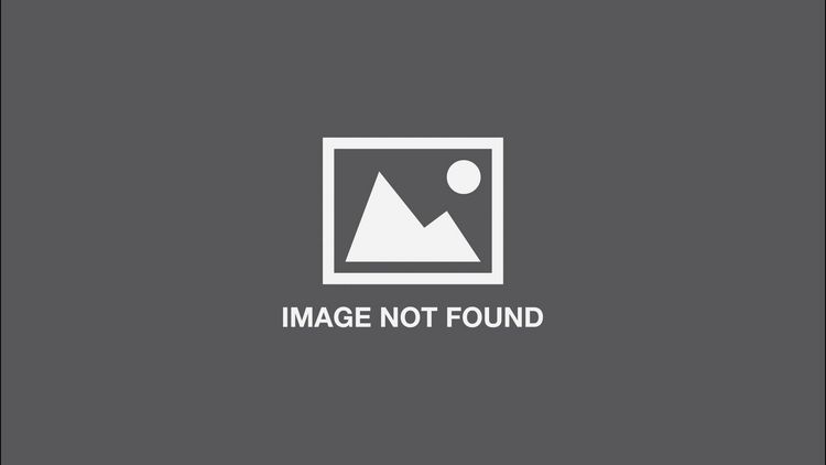 Produktbild: Illustoria: Cats & Dogs