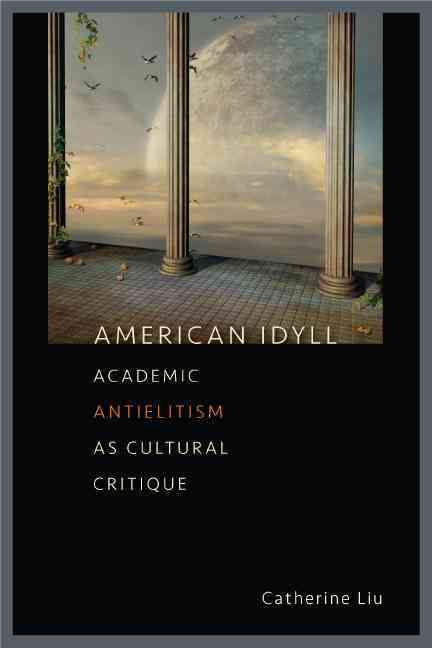Produktbild: American Idyll: Academic Antielitism as Cultural Critique