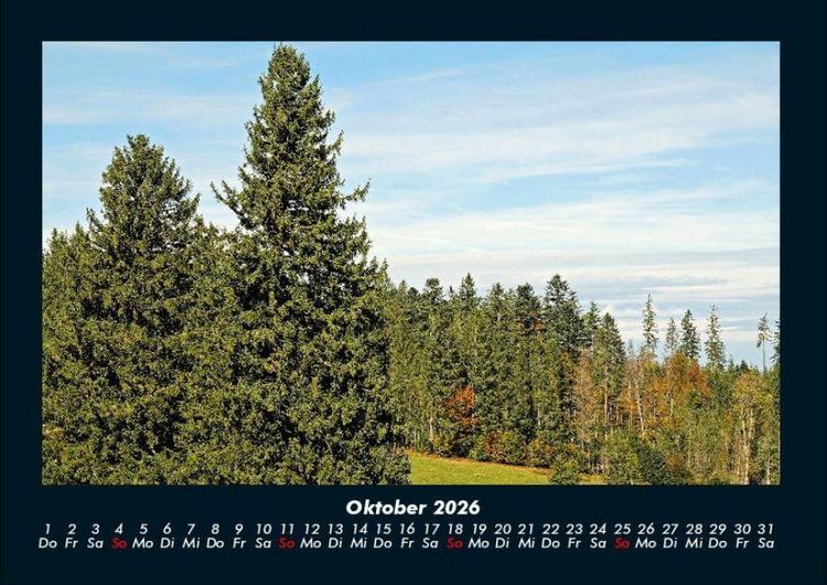 Produktbild: B&auml;ume 2026 Fotokalender DIN A4